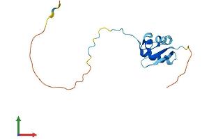 Protein Structure (PS) image for Ribosomal Protein S25 (RPS25) (AA 1-125) protein (His tag) (ABIN7551570)