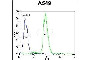 RAD17 Antibody (Center) (ABIN655646 and ABIN2845122) flow cytometric analysis of A549 cells (right histogram) compared to a negative control cell (left histogram). (RAD17 Antikörper  (AA 218-246))