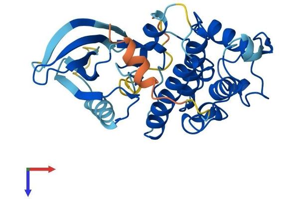 CDK3 Protein (AA 1-305) (His tag)