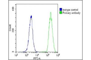 Overlay histogram showing U-2 OS cells stained with (ABIN1537519 and ABIN2848791)(green line). (MT-ND4L Antikörper  (C-Term))