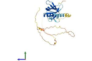 Protein Structure (PS) image for NECAP Endocytosis Associated 1 (NECAP1) (AA 1-275) protein (His tag) (ABIN7560625)
