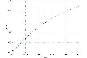 Glycosylated Serum Protein (GSP) ELISA Kit