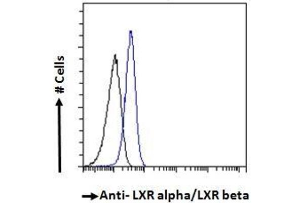 Nuclear Receptor Subfamily 1, Group H, Member 2/3 (NR1H2/3) (AA 429-442), (AA 443-456) Antikörper