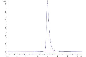Size-exclusion chromatography-High Pressure Liquid Chromatography (SEC-HPLC) image for Interleukin 2 Receptor, gamma (IL2RG) (AA 23-263) protein (His tag) (ABIN7274089)
