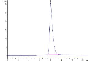 The purity of Mouse IL-2 R gamma is greater than 95 % as determined by SEC-HPLC. (IL2RG Protein (AA 23-263) (His tag))