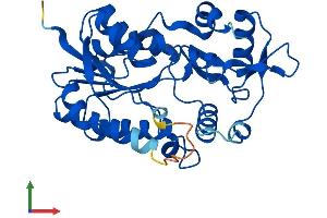 AlphaFold protein structure predicition of Mouse Recombinant Nmral1 Protein, UniprotID Q8K2T1
