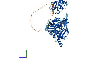 AlphaFold protein structure predicition of Human Recombinant RPA1 Protein, UniprotID P27694
