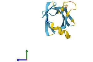 AlphaFold protein structure predicition of Mouse Recombinant Tcl1b4 Protein, UniprotID P56844