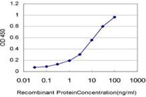 Detection limit for recombinant GST tagged ARAF is approximately 0. (ARAF Antikörper  (AA 151-250))