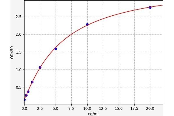 PYGM ELISA Kit