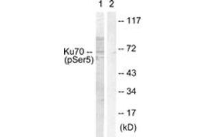 Western blot analysis of extracts from HeLa cells, using Ku70 (Phospho-Ser5) Antibody. (XRCC6 Antikörper  (pSer5))