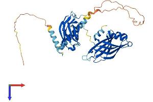 SYT1 Protein (AA 1-422) (His tag)