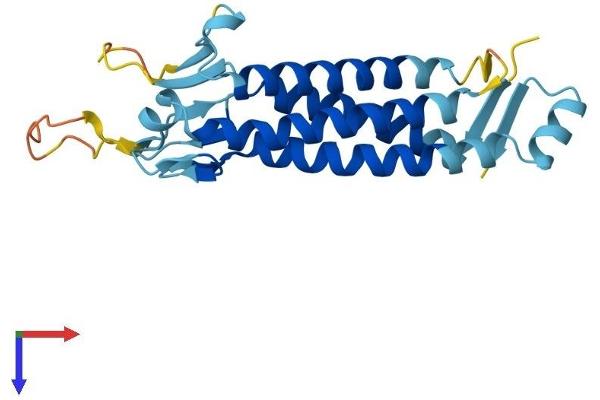 LHFPL2 Protein (AA 1-228) (His tag)