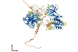 Protein Structure (PS) image for Ribosomal Protein S6 Kinase A4 (RPS6KA4) (AA 1-772) protein (His tag) (ABIN7554354)