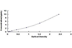 Typical standard curve (SCARB1 ELISA Kit)