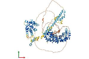 AlphaFold protein structure predicition of Mouse Recombinant Armc9 Protein, UniprotID Q9D2I5
