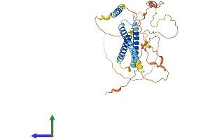 AlphaFold protein structure predicition of Mouse Recombinant Syne4 Protein, UniprotID Q8CII8