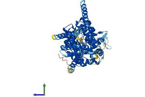 Protein Structure (PS) image for Hyaluronan Synthase 2 (HAS2) (AA 1-552) protein (His tag) (ABIN7554128)