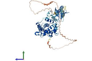 Protein Structure (PS) image for Pleckstrin Homology Domain Containing, Family A (Phosphoinositide Binding Specific) Member 8 (PLEKHA8) (AA 1-519) protein (His tag) (ABIN7564278)