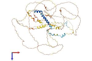 GADD34 Protein (AA 1-674) (His tag)
