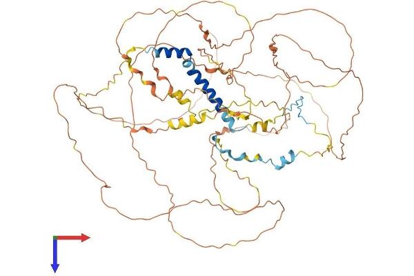 GADD34 Protein (AA 1-674) (His tag)