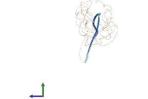 Protein Structure (PS) image for Microtubule Associated Tumor Suppressor 1 (MTUS1) (AA 1-1210) protein (His tag) (ABIN7563820)