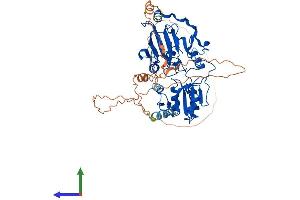 Protein Structure (PS) image for DNA Cross-Link Repair 1B (DCLRE1B) (AA 1-532) protein (His tag) (ABIN7553659)