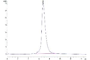 Size-exclusion chromatography-High Pressure Liquid Chromatography (SEC-HPLC) image for Interleukin 6 Receptor, alpha (IL6RA) (AA 20-365) protein (His-Avi Tag) (ABIN7275036)