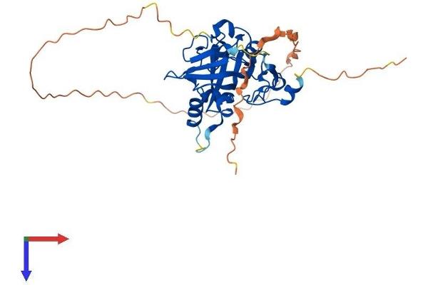 MPG Protein (AA 1-333) (His tag)