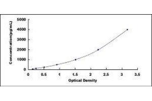 ELISA image for PDGF-BB Homodimer ELISA Kit (ABIN414900)
