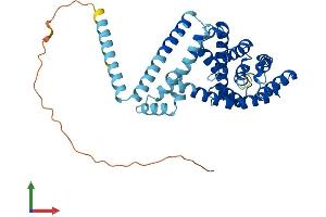 Protein Structure (PS) image for LETM1 Domain Containing 1 (LETMD1) (AA 1-360) protein (His tag) (ABIN7560257)