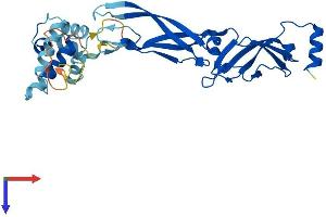 DNAJB13 Protein (AA 1-316) (His tag)
