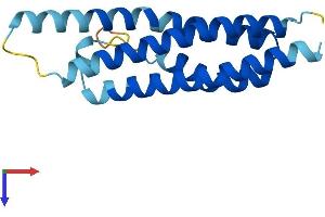 CNIH2 Protein (AA 1-160) (His tag)