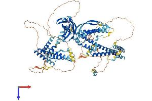 CC2D1A Protein (AA 1-943) (His tag)