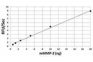 ELISA image for Matrix Metalloproteinase 2 (MMP2) (AA 34-662), (C-Term) (Active) protein (ABIN2666505) (MMP2 Protein (AA 34-662, C-Term))