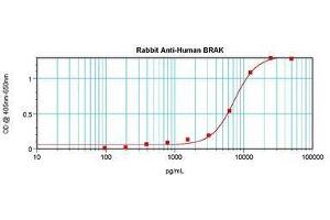 Image no. 1 for anti-Chemokine (C-X-C Motif) Ligand 14 (CXCL14) antibody (ABIN465239) (CXCL14 Antikörper)