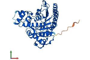 AlphaFold protein structure predicition of Mouse Recombinant Hdac8 Protein, UniprotID Q8VH37 (HDAC8 Protein (AA 1-377) (His tag))