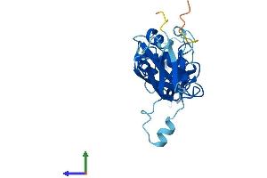 CYB5D1 Protein (AA 1-228) (His tag)