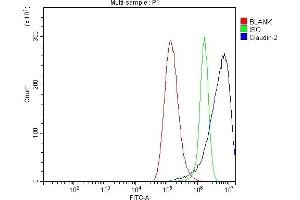 Flow Cytometry analysis of A549 cells using anti-Claudin 2/CLDN2 antibody (ABIN7602204).