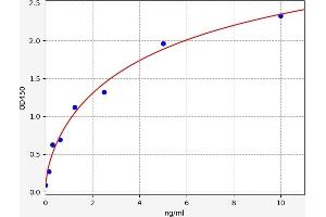 GRHPR ELISA Kit