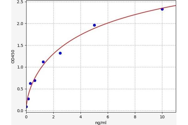 GRHPR ELISA Kit