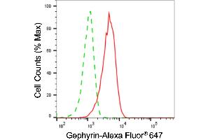 Flow cytometric analysis of Gephyrin expression in HAP-1 cells using Gephyrin antibody (ABIN7798713), 1:2,000). (Gephyrin Antikörper)