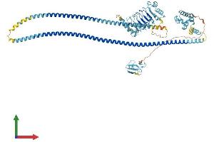 Protein Structure (PS) image for Leucine Rich Repeat and Sterile alpha Motif Containing 1 (LRSAM1) (AA 1-727) protein (His tag) (ABIN7564308)