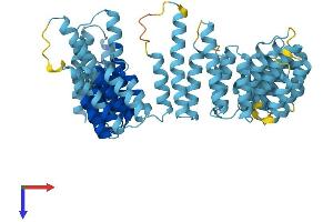 UTP6 Protein (AA 1-597) (His tag)