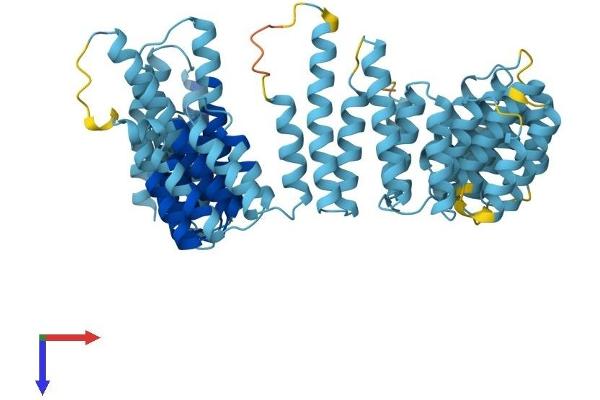 UTP6 Protein (AA 1-597) (His tag)