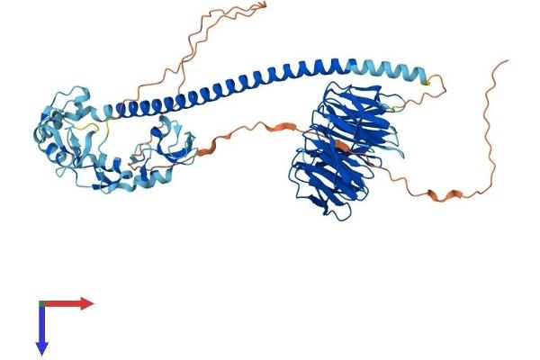 TRAF7 Protein (AA 1-670) (His tag)