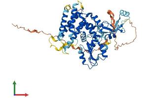 AlphaFold protein structure predicition of Mouse Recombinant Cblc Protein, UniprotID Q80XL1 (CBLC Protein (AA 1-496) (His tag))