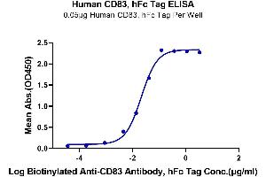 Immobilized Human CD83, hFc Tag at 0. (CD83 Protein (CD83) (AA 20-143) (Fc Tag))