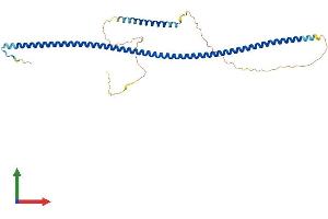 Protein Structure (PS) image for NudE Nuclear Distribution E Homolog (A. Nidulans)-Like 1 (NDEL1) (AA 1-345) protein (His tag) (ABIN7565054)
