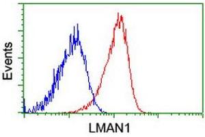 Flow cytometric Analysis of Hela cells, using anti-LMAN1 antibody (ABIN2454088), (Red), compared to a nonspecific negative control antibody, (Blue). (LMAN1 Antikörper)